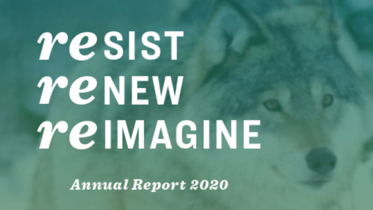 2020 Annual report cover: a wolf in the background with the words Resist, Renew, and reimagine superimposed.